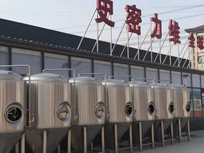 夏县精酿啤酒设备厂—如何判断精酿啤酒设备的密封件需要更换？